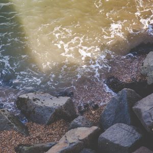 Sun shines on the green water of Portsmouth Harbour and the shadow of The Round Tower covers the rocks