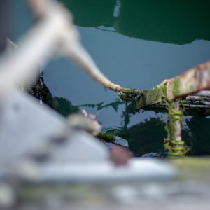 A rusty set of stairs leads down to the green water
