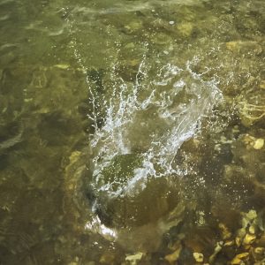 Photo from Converge Walkshop with Harbour School