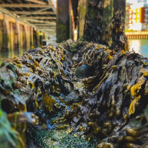 Hotwalls Photo Walkshop