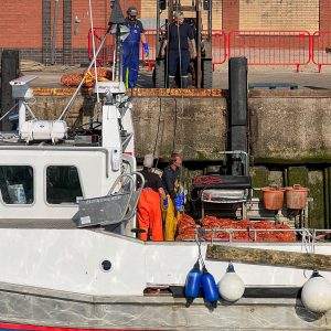 Hotwalls Photo Walkshop